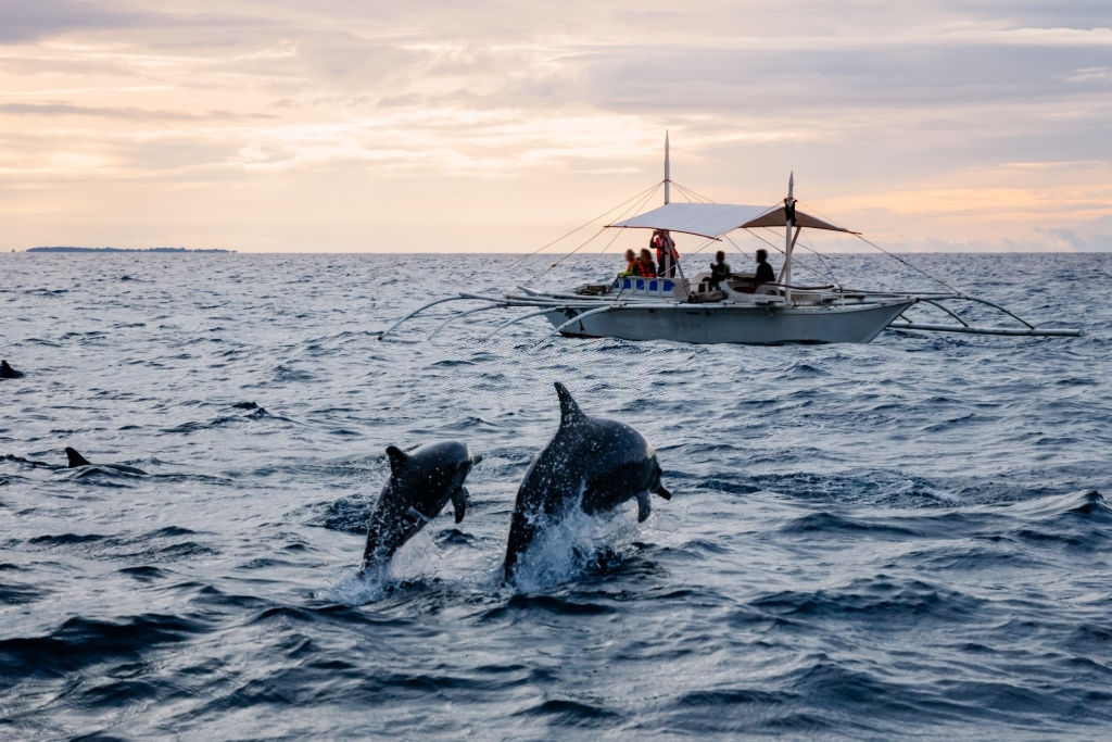 Our mission is to work with purpose. Panama City Beach dolphin tours are educational experiences that allow you to appreciate and understand wildlife. We are an eco-friendly company and do everything possible to protect wildlife. You will be a blessing to dolphins if you choose an eco-tour company that cares.