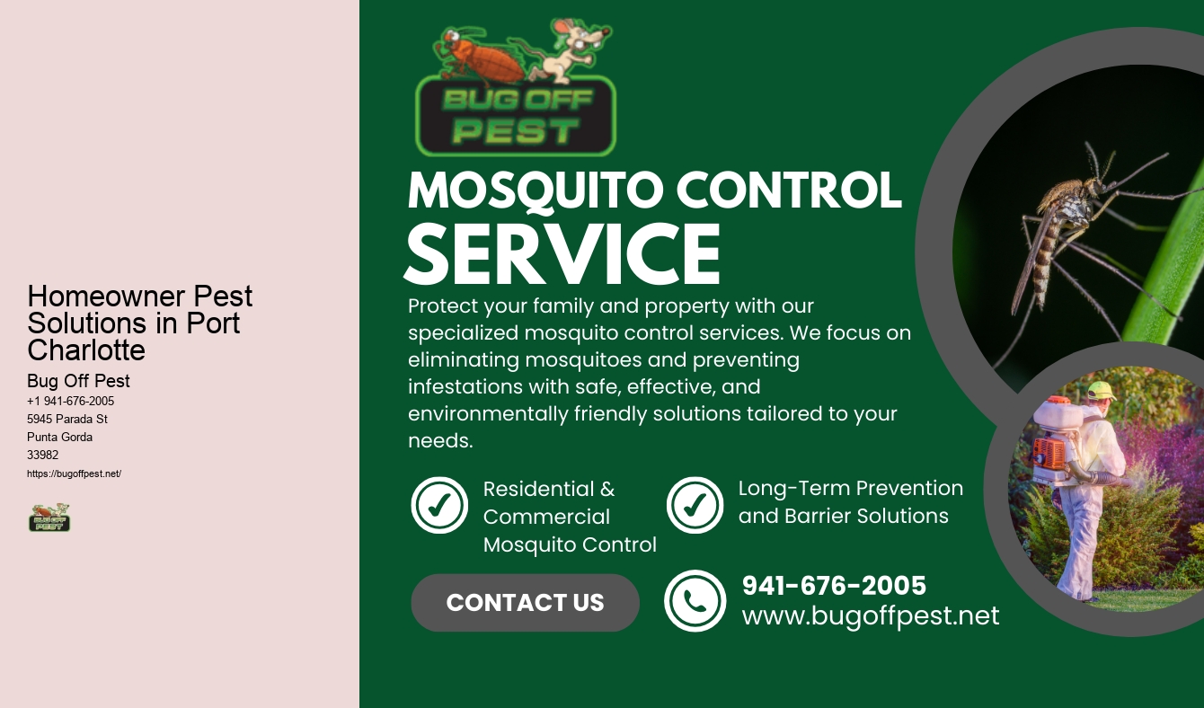 Homeowner Pest Solutions in Port Charlotte