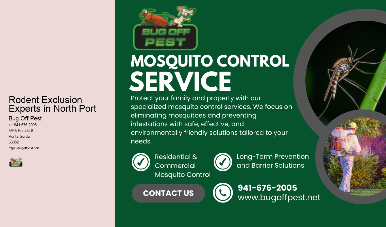 Rodent Exclusion Experts in North Port