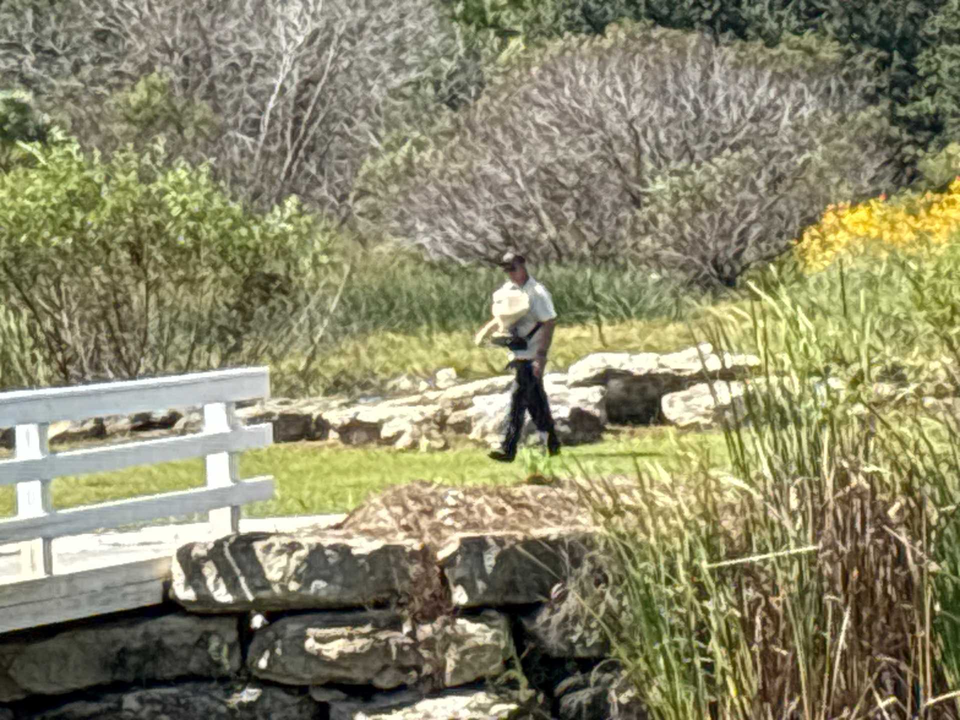 Professional rodent control Arcadia