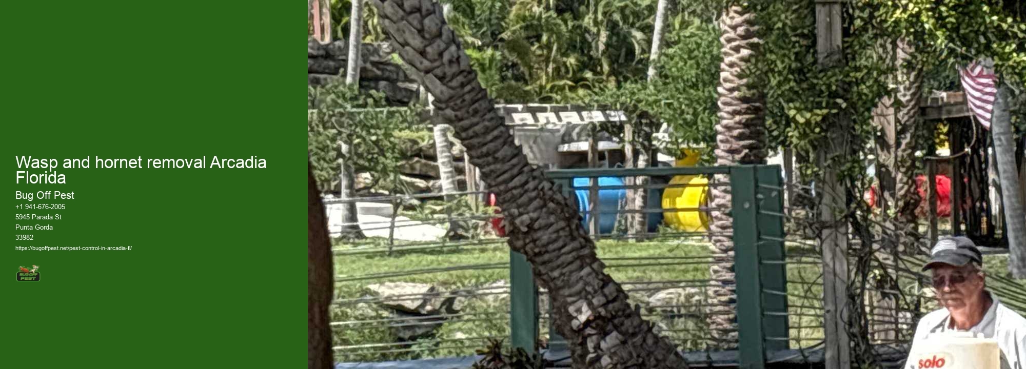 Wasp and hornet removal Arcadia Florida