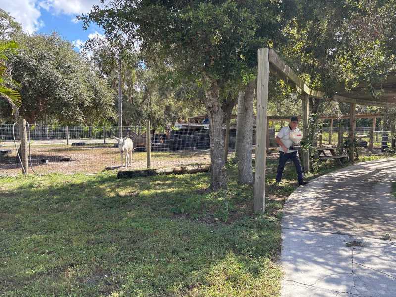 Fort Myers Residential Pest Control Services