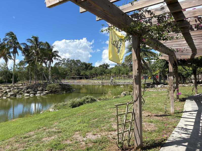 Spider Nest Removal Fort Myers