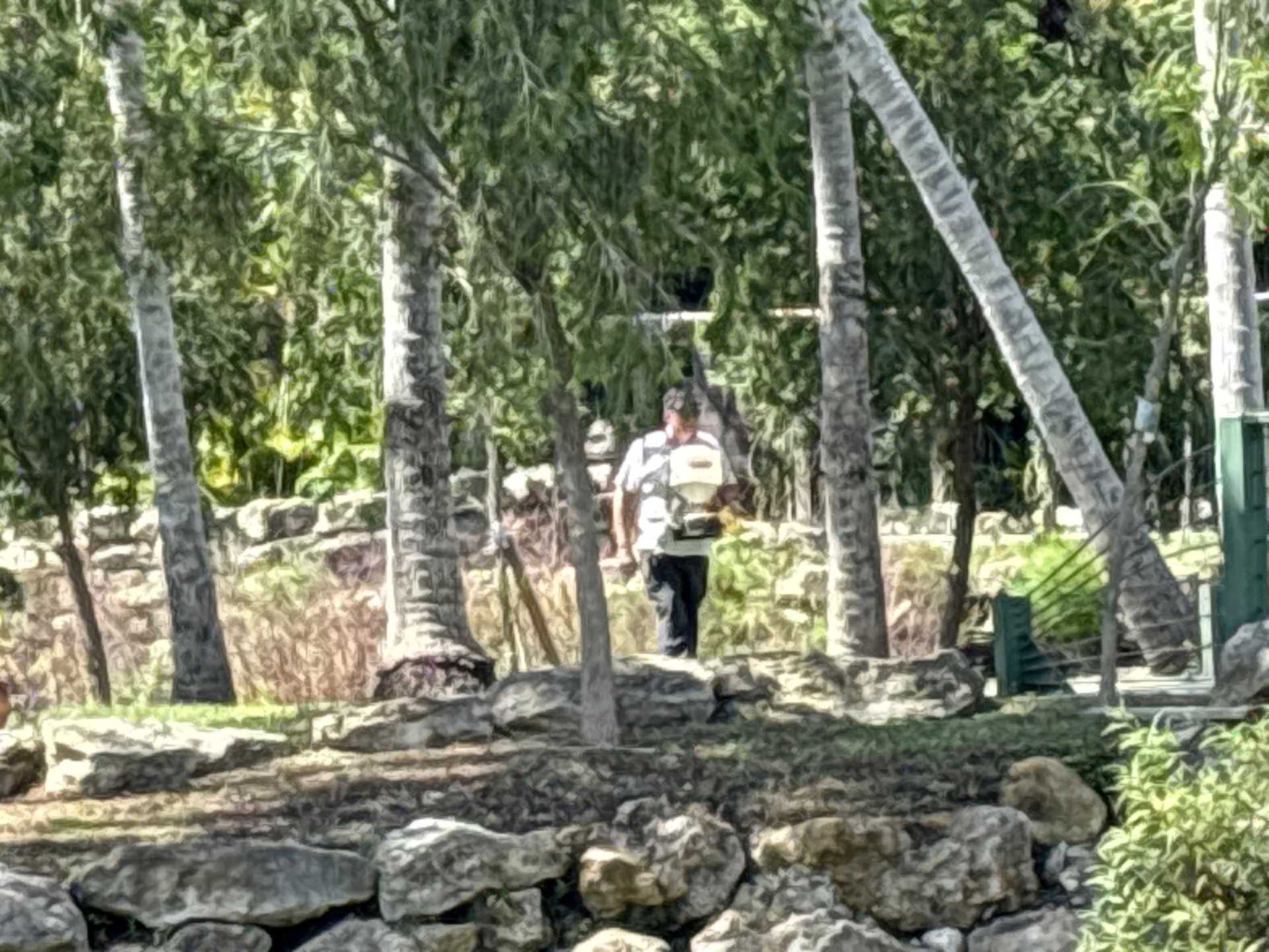 Cockroach Control Fort Myers FL