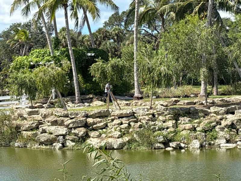 Local termite inspection company Fort Myers FL