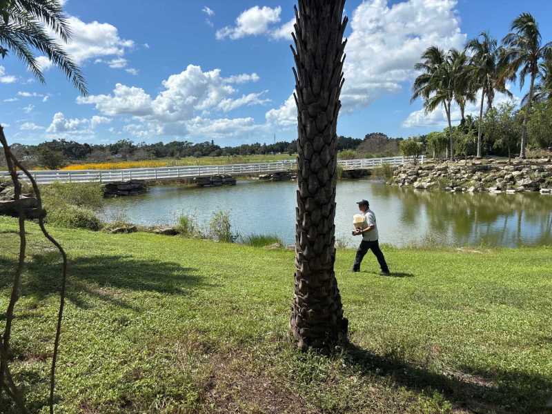 Termite Control Fort Myers