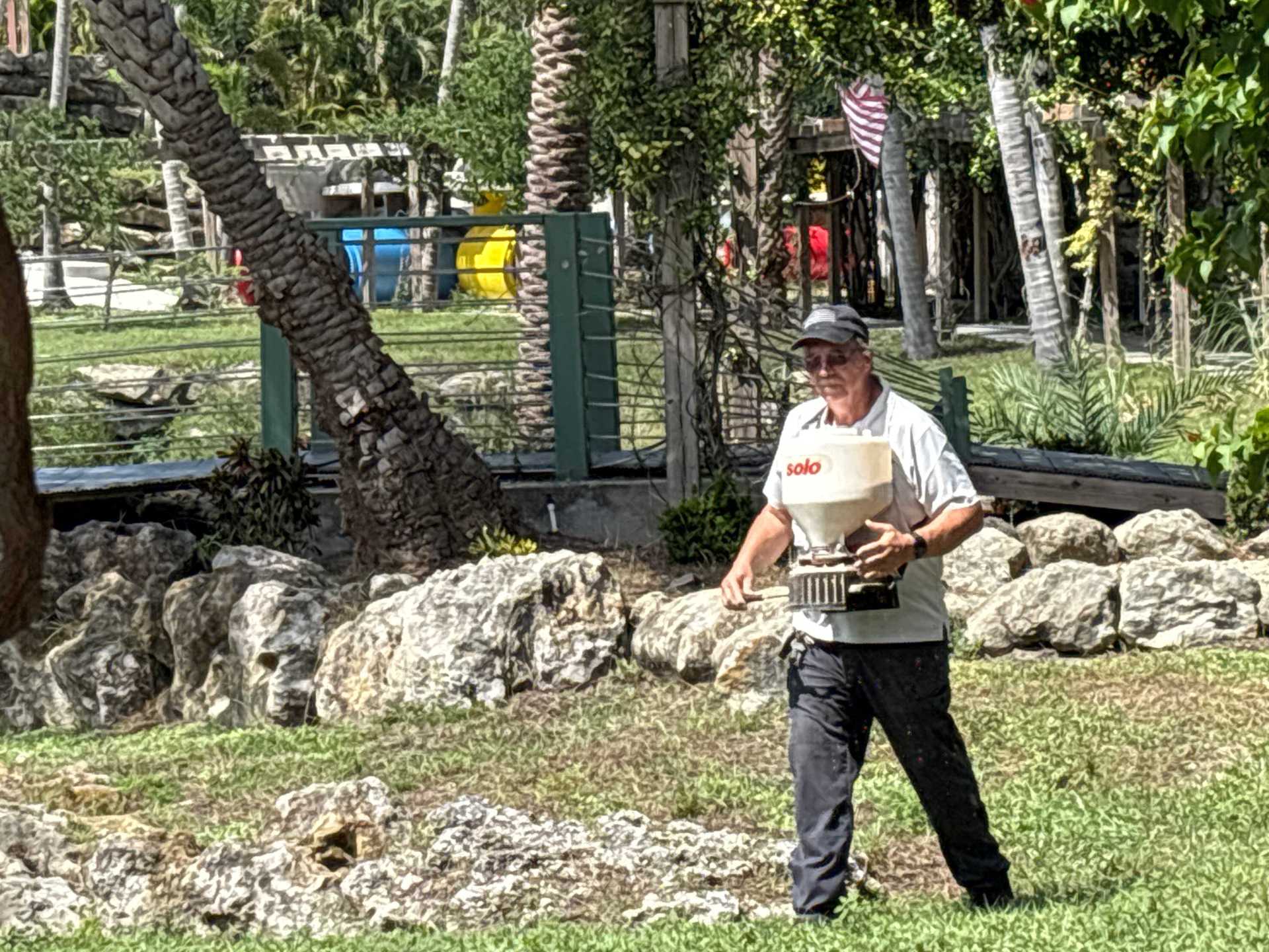 Termite Removal Fort Myers