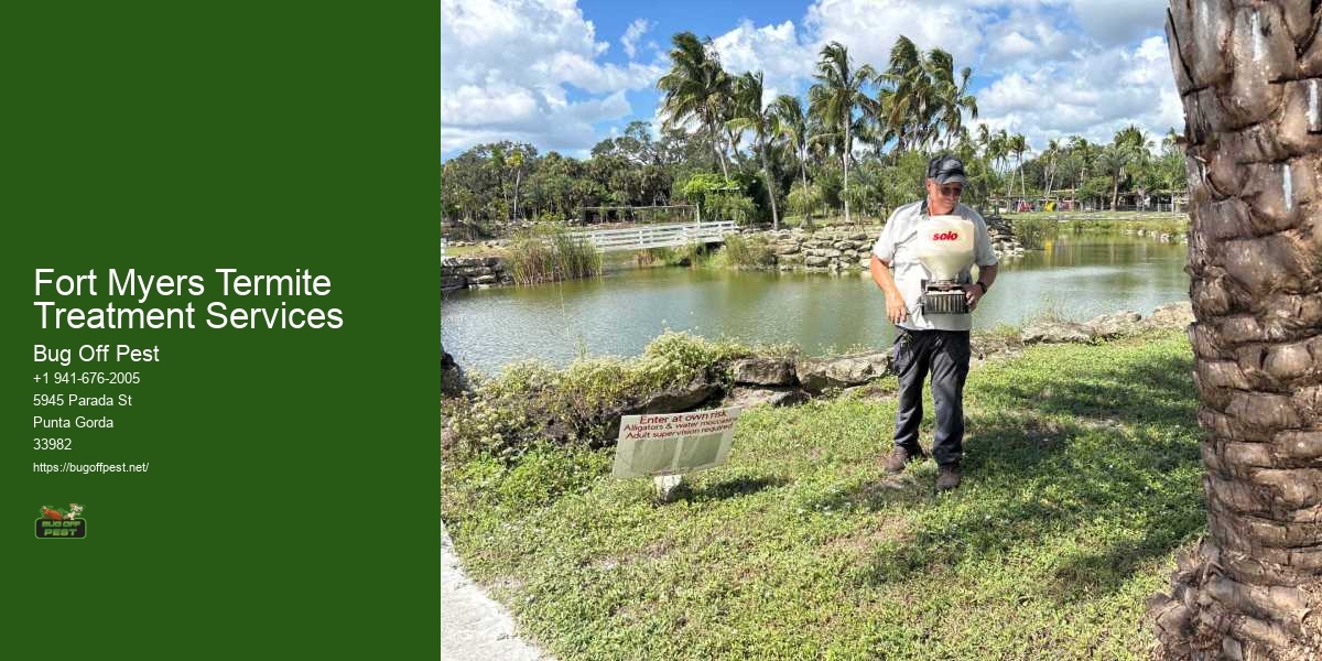 Fort Myers Termite Treatment Services