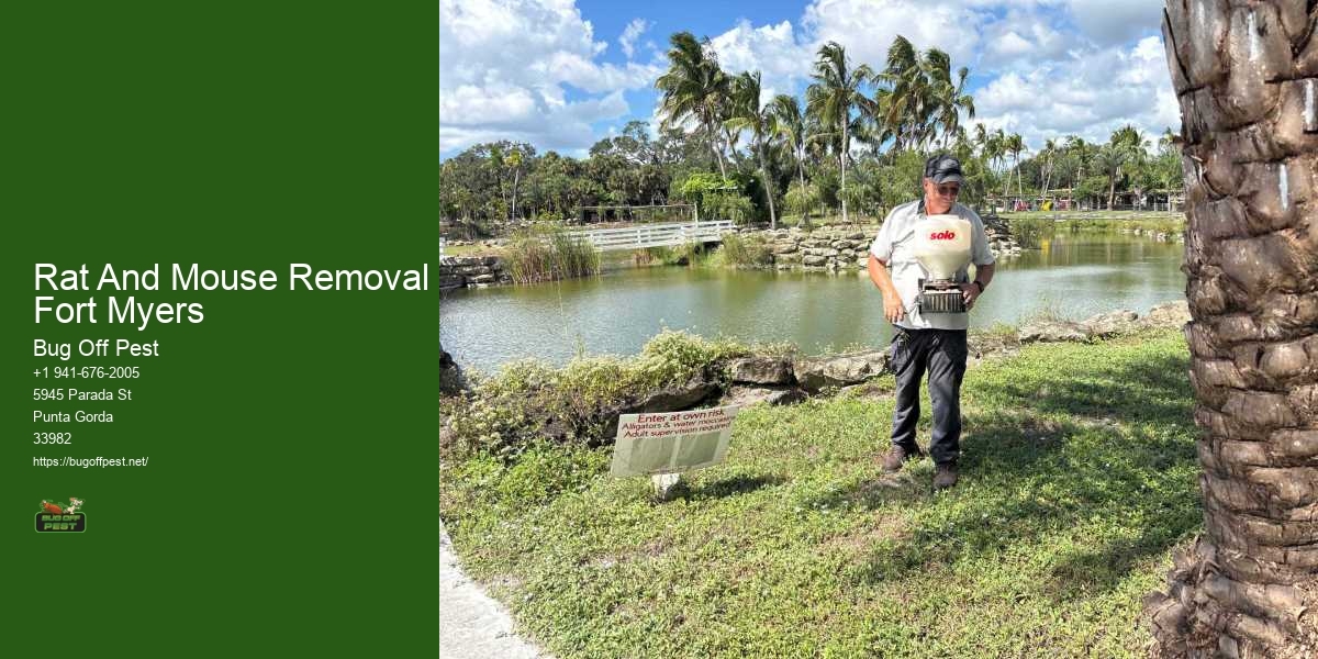 Rat And Mouse Removal Fort Myers