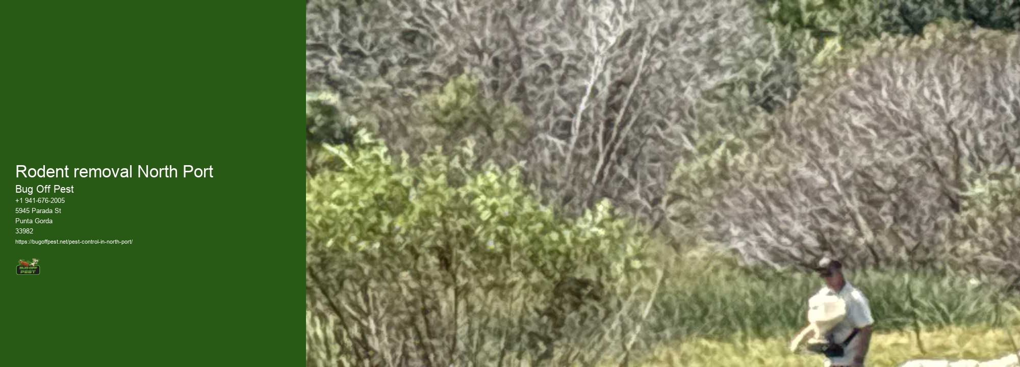 Rodent removal North Port