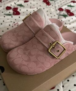 Coach Limited Edition Pink Clogs