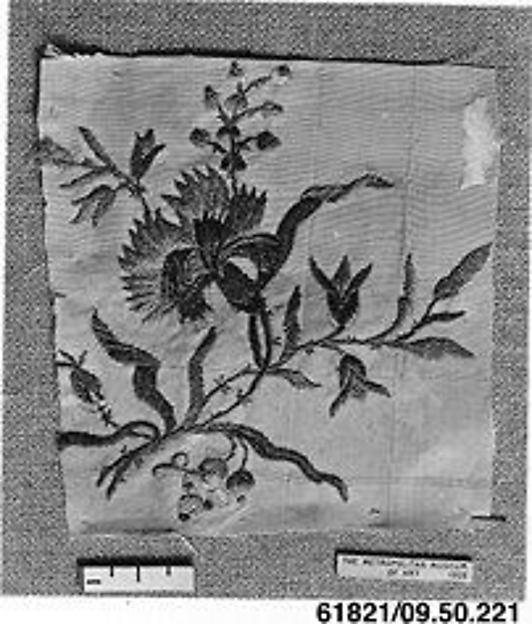Fragment
