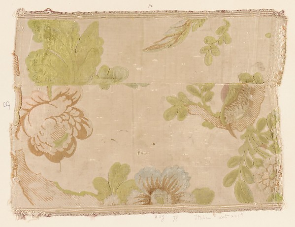 Fragment