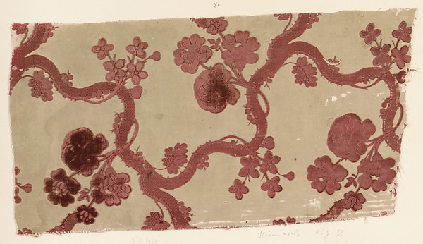 Fragment