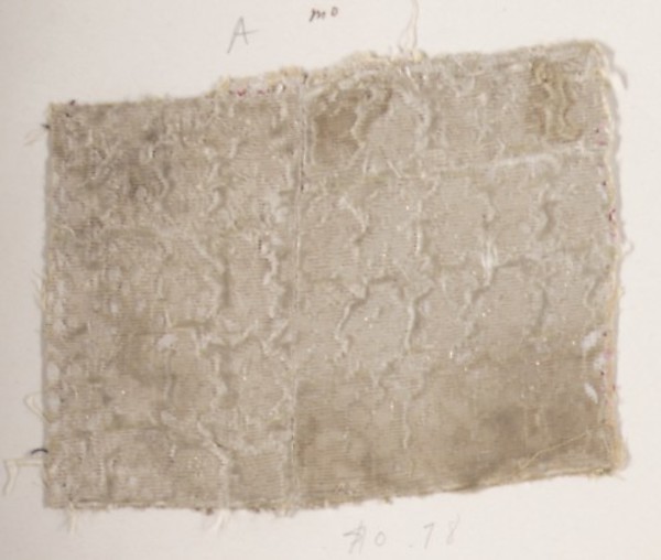 Fragment