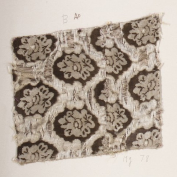 Fragment