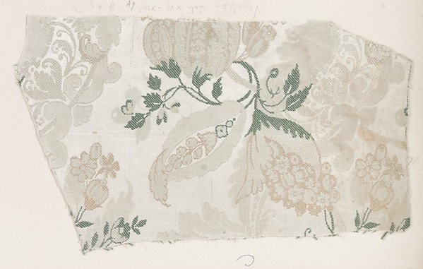 Fragment