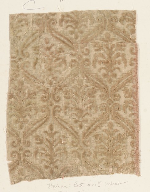Fragment