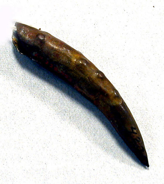 Hammered Copper Claw Ornament