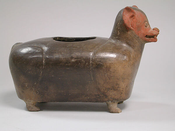 Canine Vessel
