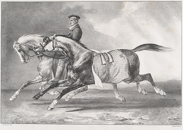 Two Dappled-Grey Horses Being Exercised