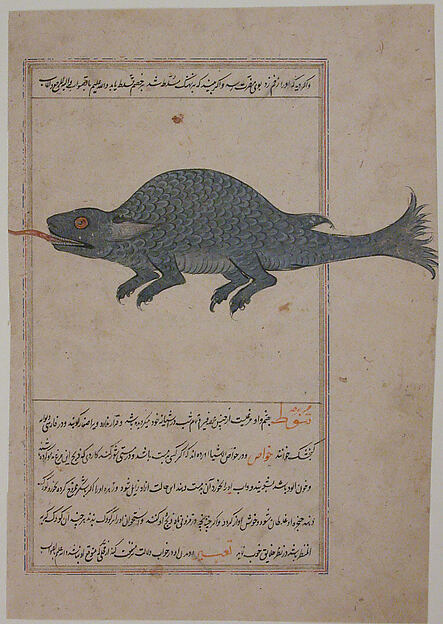 Folio from a Bestiary and Herbal