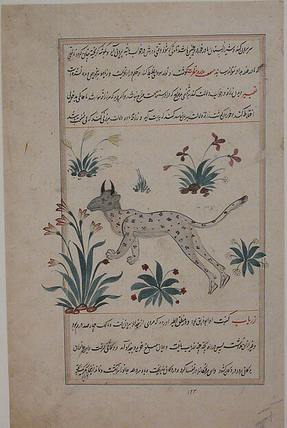 Folio from a Bestiary and Herbal