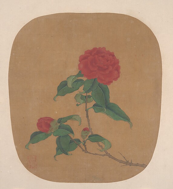 Camellia Flowers