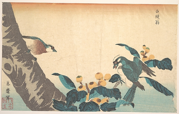 Birds and Flowers