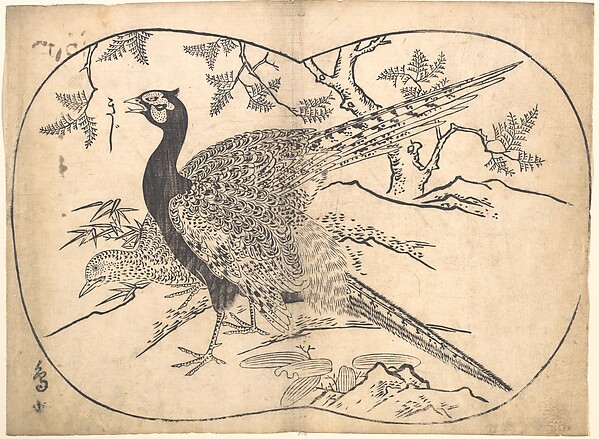 Pheasants