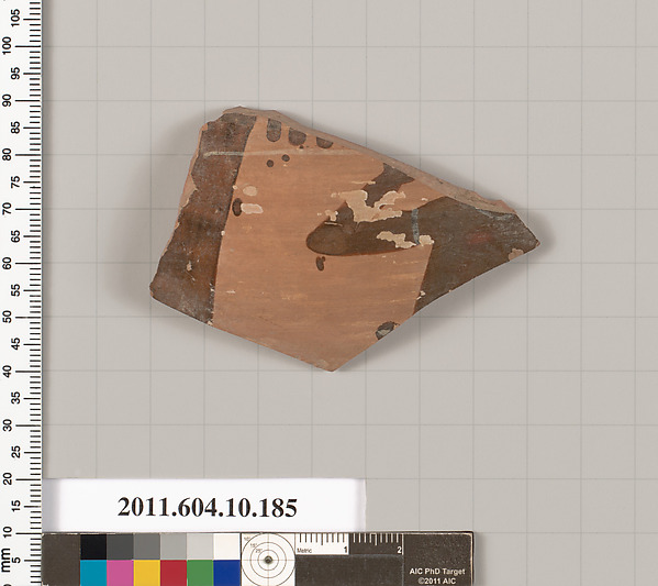 Terracotta fragment of an amphora (jar)?