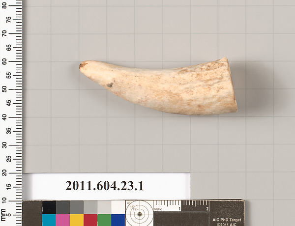Bone or ivory fragment