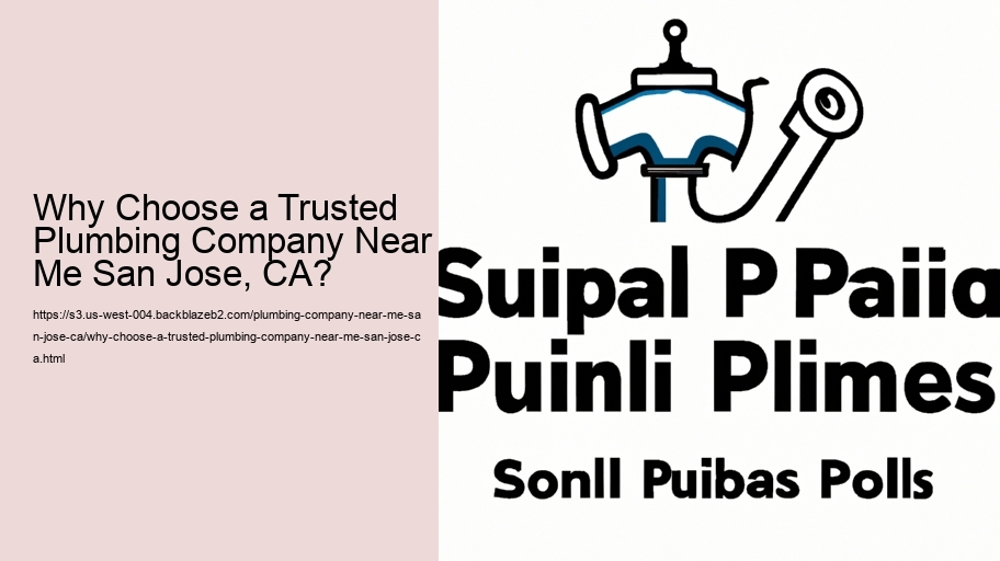 Why Choose a Trusted Plumbing Company Near Me San Jose, CA?