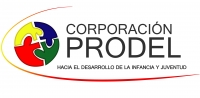 DIRECTOR(A) PROGRAMA PRM ANTOFAGASTA