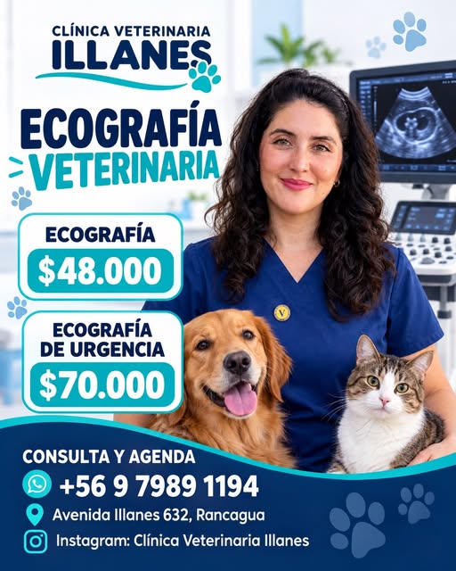 foto - Clínica Veterinaria Illanes