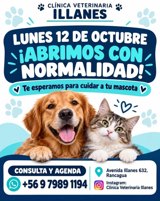 foto - Clínica Veterinaria Illanes
