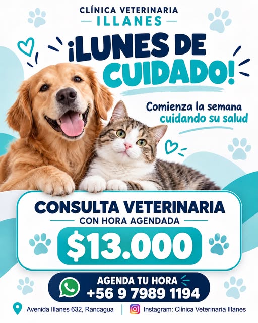 foto - Clínica Veterinaria Illanes