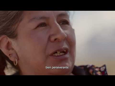 La marca Chile es lo mejor.  Nada es imposible. #LaFuerzadelCambio