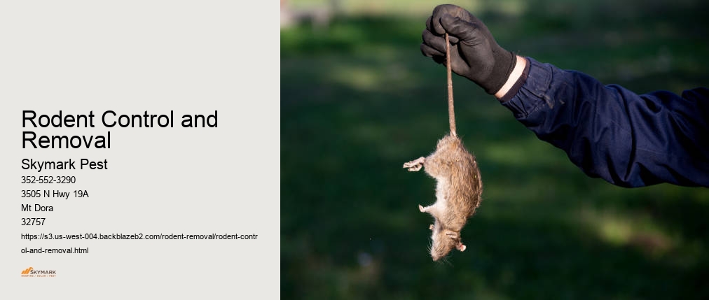 Rodent Control and Removal