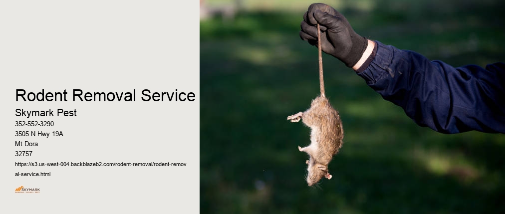 Rodent Removal Service
