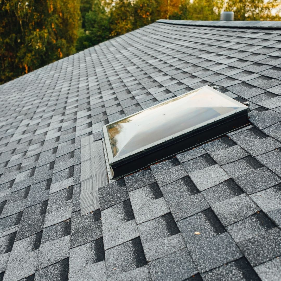 Professional Roofing Services with Superior Care