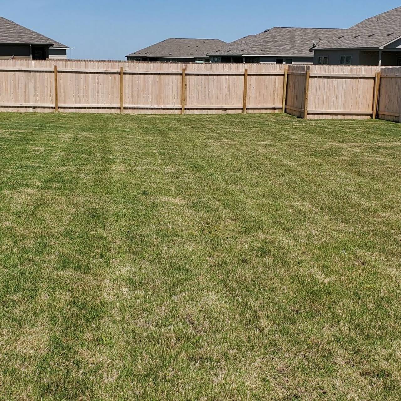 What month should I start treating my grass