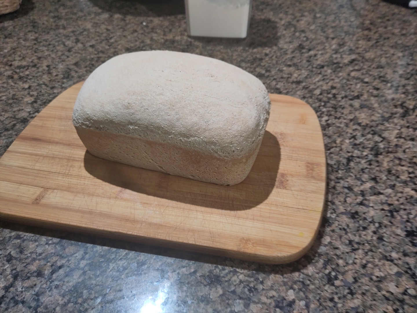 Whole Wheat Sandwich Bread
