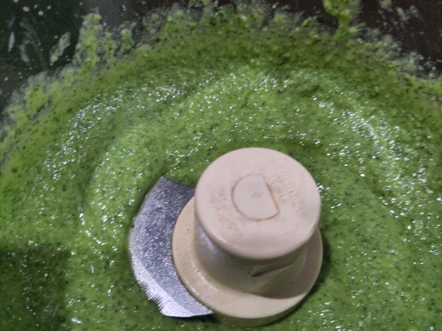 Fresh Basil Pesto