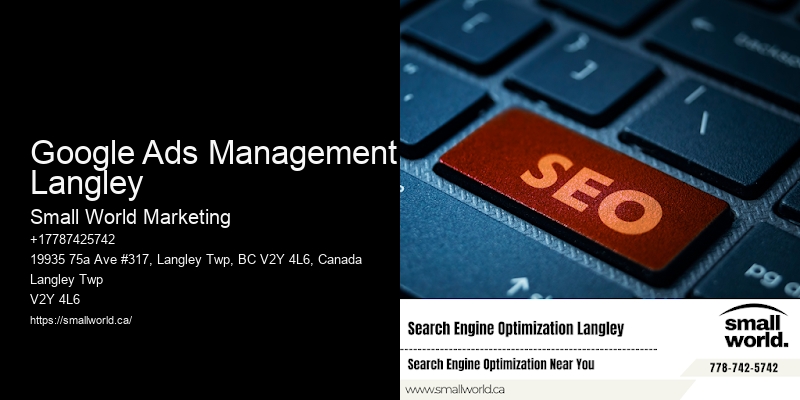 Google Ads Management Langley
