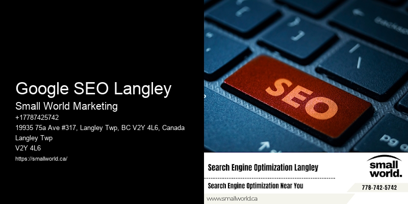 Google SEO Langley