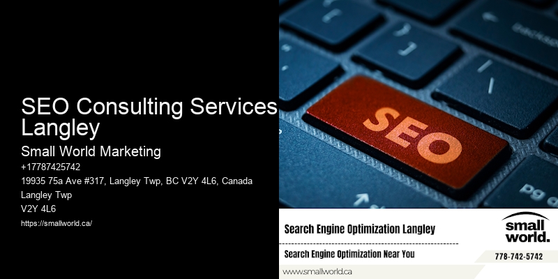 SEO Consulting Services Langley