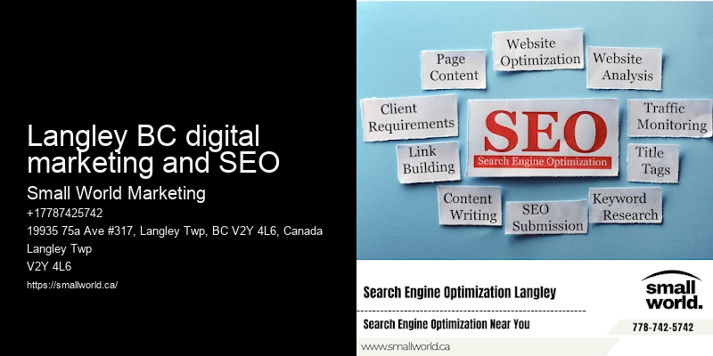 Langley BC digital marketing and SEO