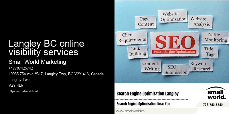 Langley BC online visibility services