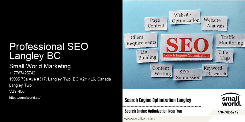Professional SEO Langley BC